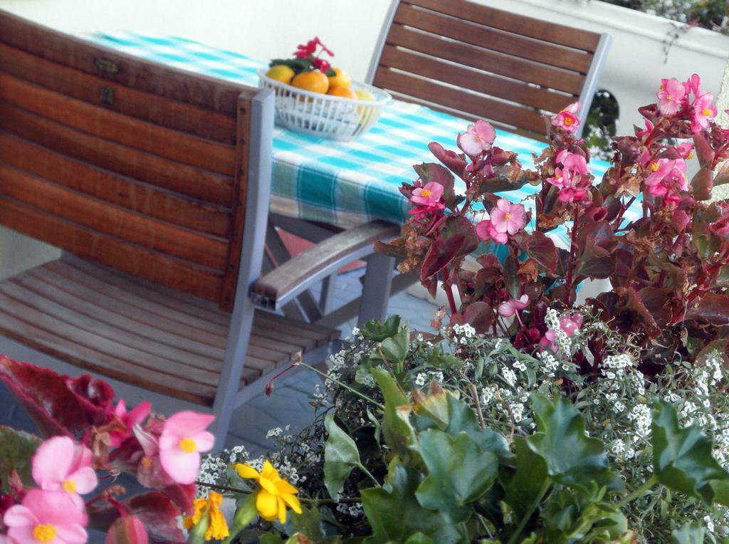 Apartmani Delfin Grebaštica 外观 照片